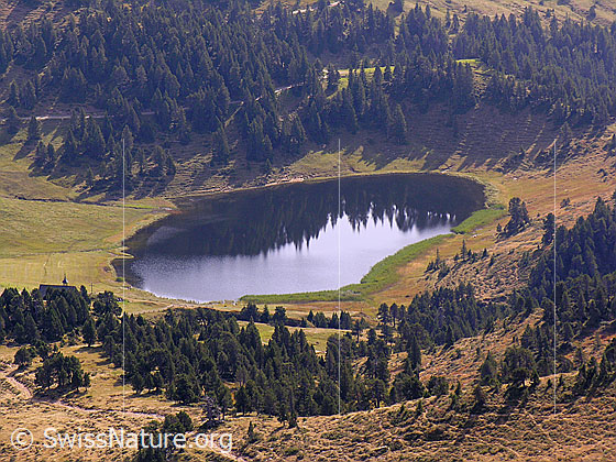 Foto: Tiefblick auf das Sewenseeli mit Spiegelung des Waldsaumes im Wasser. Die Alpweiden im lichten Bergwald sind herbstlich gefärbt.