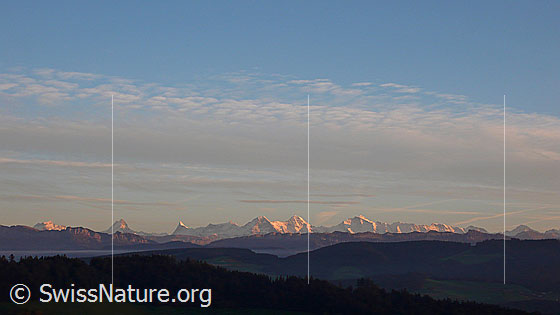 Foto: Abendstimmung mit den Berner Alpen. Zwischen der bewaldeten Hügellandschaft und den Voralpen liegt eine feine Nebelschicht.