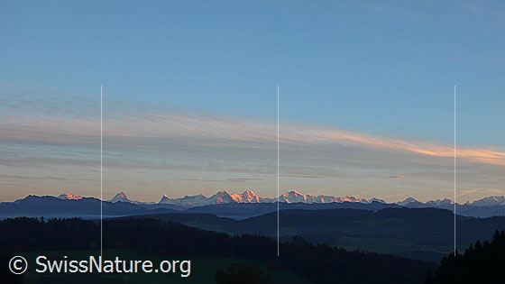 Foto: Abendstimmung mit den Berner Alpen. Zwischen der bewaldeten Hügellandschaft und den Voralpen liegt eine feine Nebelschicht.