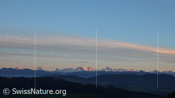Foto: Abendstimmung mit den Berner Alpen. Zwischen der bewaldeten Hügellandschaft und den Voralpen liegt eine feine Nebelschicht.