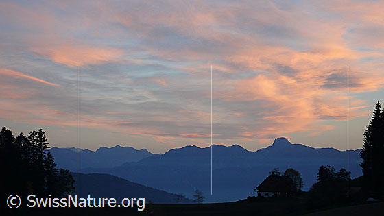 Foto: Abendstimmung über der Stockhornkette mit rötlich gefärbten Wolken.