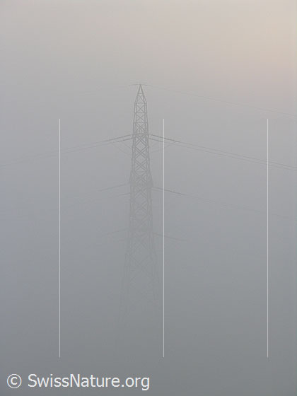 Foto: Hochspannungsmast im Nebel.