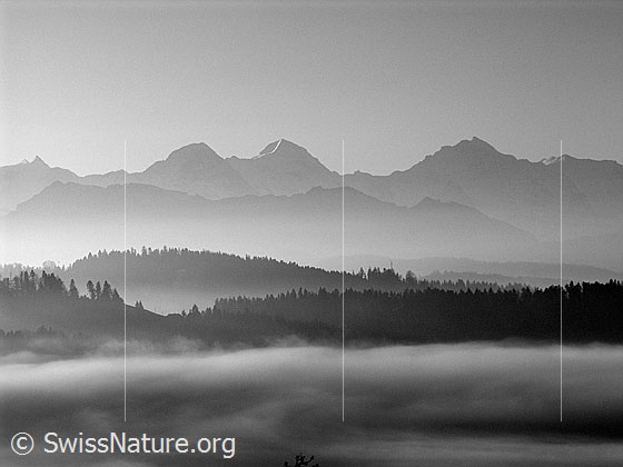 Foto: Nebelmeer mit Eiger, Mönch, Jungfrau, Hohgant und Emmentaler Wäldern.