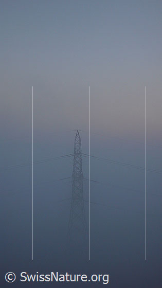 Foto: Hochspannungsmast im Nebel.