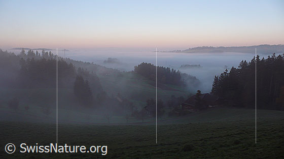 Foto: Herbststimmung mit Nebelmeer in Emmentaler Hügellandschaft. Durch die Nebelschleier sind Bauernhöfe, Wälder und Obstbäume erkennbar.