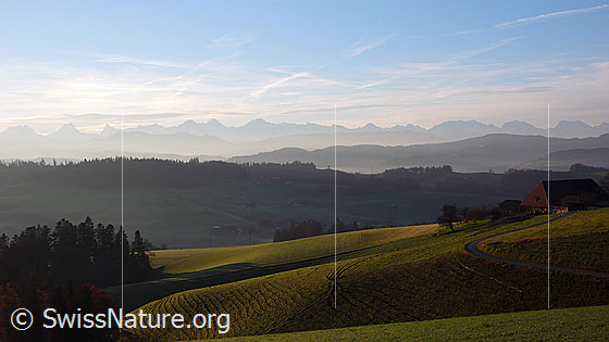Foto: Emmentaler Hügellandschaft bei der Lueg und bewaldete Hügelzüge mit der Alpenkette im Hintergrund. Rechts im Bild ist ein Bauernhof zu sehen.
