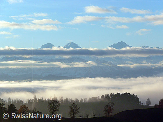 Foto: Herbststimmung auf der Lueg mit Wolkenresten und Nebelschichten. Vor den Gipfeln von Eiger, Mönch und Jungfrau zieht sich ein Wolkenband hin.