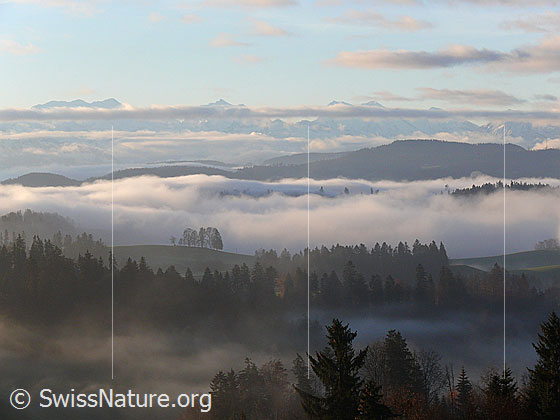 Foto: Morgenstimmung auf der Lueg mit Ausblick über die mit Emmentaler Hügellandschaft zu den Berner Alpen. In den Tälern liegt Nebel und die Wälder und Hügelzüge sind von der geheimnisvollen Nebelstimmung umgeben.