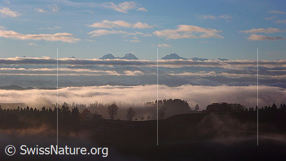 Foto: Nebelstimmung auf der Lueg mit Wolkenresten und Nebelschichten über den Hügelzügen. Vor den Gipfeln von Eiger, Mönch und Jungfrau zieht sich ein Wolkenband hin.
