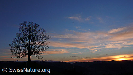 Foto: Abendstimmung mit Sonnenuntergang in einer dünnen Wolkenschicht. Im Vordergrund steht ein Baum und im Horizont sind Bergspitzen erkennbar.