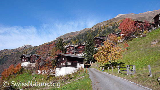 Foto: Walliser Bergdorf Imfeld in herbstlich gefärbter Umgebung.