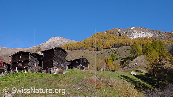 Foto: Alte Ställe im Bergdorf Imfeld in herbstlich gefärbter Umgebung.