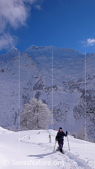Foto: Schneeschuhläuferin unterwegs in toller Berglanschaft im Wallis.