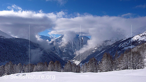 Foto: Nebelschwaden über der verschneiten Winterlandschaft des Binntals.