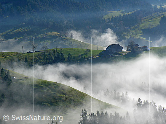 Foto: Bauernhof oberhalb der Nebelgrenze auf Emmentaler Hügelzug. Nebelschwaden liegen in den schmalen Taleinschnitten.