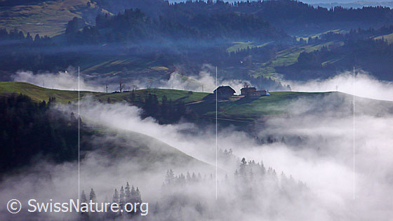 Foto: Bauernhof auf Emmentaler Hügelzug an der Nebelgrenze. Nebelschwaden schmiegen sich an die Geländerücken.