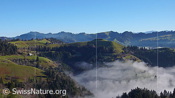 Foto: Nebelschwaden in Emmentaler Graben und besonnte Hügellandschaft und Kreten bei Lüderenalp.