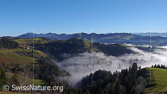 Foto: Ein Nebelmeer reicht bis in die Gräben der höher gelegenen Emmentaler Hügellandschaft.