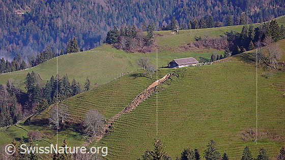 Foto: Stall auf Krete in Emmentaler Hügellandschaft. Im steilen Gelände unterhalb des Stalls hat sich ein Erdrutsch ereignet.