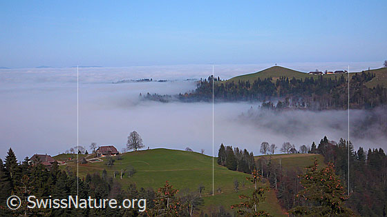 Foto: Nebelmeer zwischen Emmentaler Hügeln und über dem Mittelland. Auf den Anhöhen sind Bauernhöfe, Weidegebiete und Wälder zu sehen.