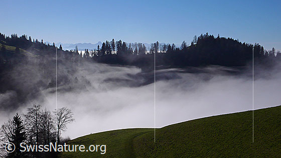 Foto: An der Nebelgrenze eines Nebelmeers zwischen Emmentaler Hügelzügen.