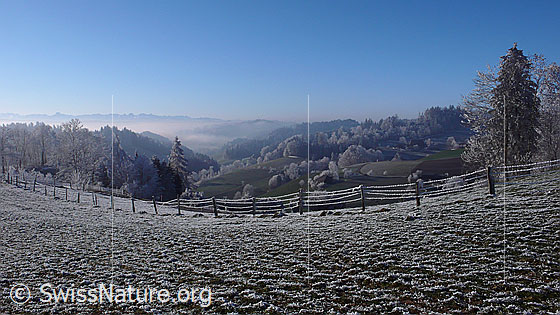 Foto: Zaun in Raureiflandschaft im hügeligen Emmental mit Wäldern und Bäumen.