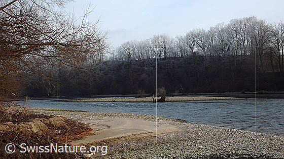 Foto: Aare: Fluss und Kiesbank. Am Ufer sind Sand und Kiesablagerungen zu sehen.