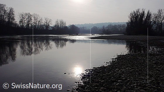 Foto: Aare mit Spiegelung des Flussufers im ruhigen Flusslauf.