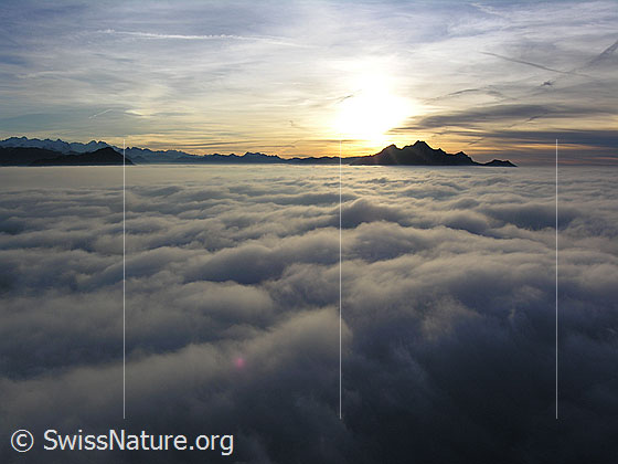 Foto: Abendstimmung mit Silhouette des Pilatus und umfassendem Nebelmeer. Im Horizont sind die Berner Alpen und davor das Stanserhorn erkennbar.
