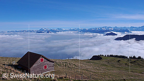 Foto: Hütte auf Rigi Kulm und umfassendes Nebelmeer über der Innerschweiz. Aus dem Nebelmeer ragen die beiden Mythen. Dahinter ist der Glärnisch erkennbar.
