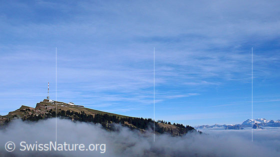 Foto: Nebelgrenze und Nebelschwaden reichen bis Rigi Kulm. Im Hintergrund ragen der Glärnisch und die beiden Mythen aus dem Nebelmeer.