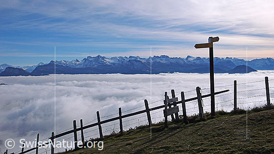 Foto: Wegweiser mit Zaun über Nebelmeer. Im Hintergrund sind Witenalpstock, Niederbauen Chulm, Bristen, Oberbauenstock, Gitschen, Uri-Rotstock, Wissigstock, Engelberger Rotstock, Ruchstock, Titlis und Buochserhorn zu sehen.