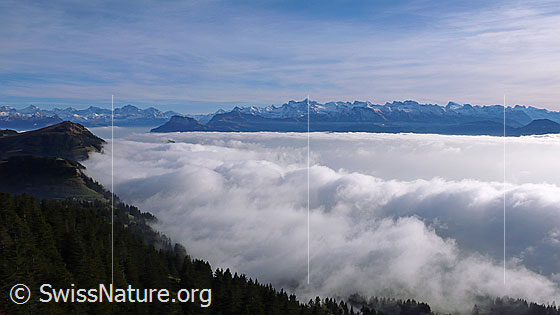 Foto: Ein mächtiges Nebelmeer staut sich an der Rigi. Im Hintergrund sind die Bergketten der Zentralalpen mit Schärhorn, Gross Ruchen, Gross Windgällen, Chli Windgällen, Witenalpstock, Bristen, Gitschen, Uri-Rotstock, Wissigstock, Engelberger Rotstock, Ruchstock, Titlis sowie vorgelagert Rigi Scheidegg, Niederbauen Chulm, Oberbauenstock und Buochserhorn zu sehen.