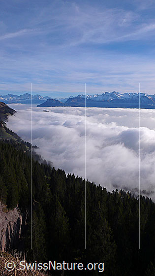 Foto: Ein mächtiges Nebelmeer staut sich an der Rigi. Im Hintergrund sind die Bergketten der Zentralalpen mit Gross Ruchen, Gross Windgällen, Chli Windgällen, Witenalpstock, Bristen, Gitschen, Uri-Rotstock, Wissigstock, Engelberger Rotstock sowie vorgelagert Niederbauen Chulm und Oberbauenstock zu sehen.