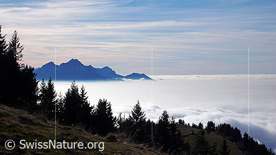 Foto: Blick von Rigi Staffelhöhe auf ein umfassendes Nebelmeer und zum Pilatus.