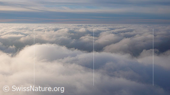 Foto: Nebelmeer über dem Mitteland.