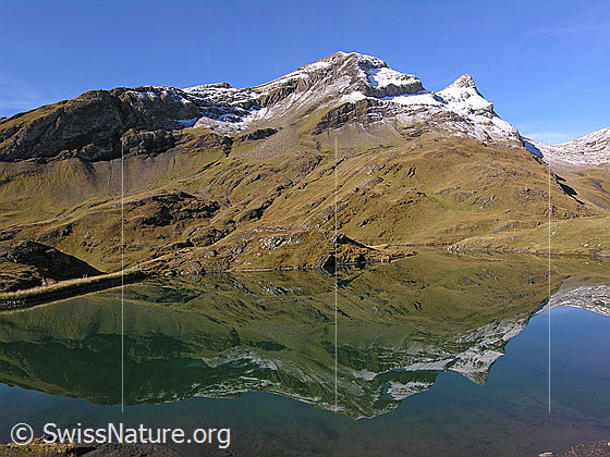 Foto: Spiegelung der Reeti und des Simelihorns im Bachalpsee.