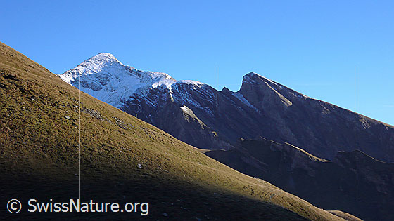 Foto: Blick von Grindelwald First zu Schwarzhorn und Gemschberg.