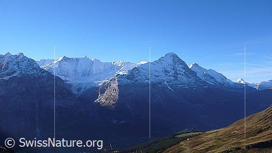 Foto: Blick von Grindelwald First zu Mättenberg, Ochs, Fieschergletscher, Gross Fiescherhorn, Walcherhorn, Eiger, Jungfrau, Tschingelhorn.