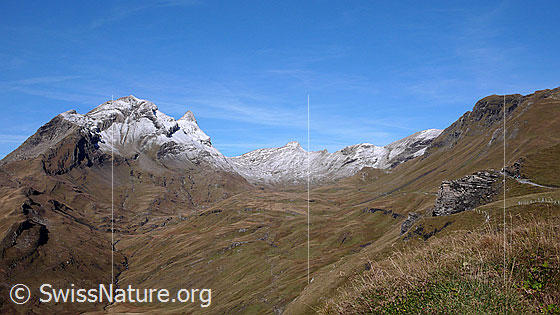 Foto: Blick von First (Grindelwald) zu Reeti, Simelihorn, Faulhorn und Simelwang.