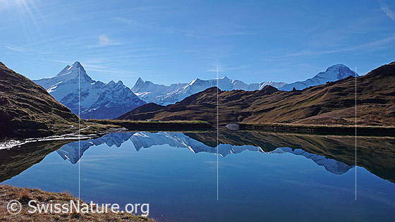 Foto: Spiegelung der Berner Alpen mit Lauteraarhorn, Schreckhorn, Kleines Schreckhorn, Finsteraarhorn, Ochs, Fiescherhörner und Eiger im spiegelglatten Bachalpsee.