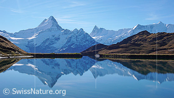 Foto: Spiegelung der Berner Alpen mit Lauteraarhorn, Schreckhorn, Kleines Schreckhorn, Finsteraarhorn, Ochs und Fiescherhörner im Bachalpsee.