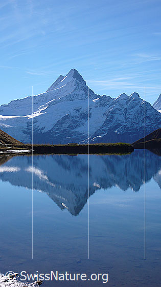 Foto: Spiegelung von Lauteraarhorn, Schreckhorn und Kleines Schreckhorn im Bachalpsee.