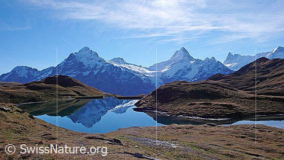 Foto: Blick über den spiegelnden Bachalpsee zu den Berner Alpen mit Wellhorn, Wetterhorn, Bärglistock, Lauteraarhorn, Schreckhorn, Kleines Schreckhorn, Finsteraarhorn und Ochs.