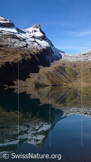 Foto: Mandelbrot-Spiegelung und Spiegelung des Simelihorn im Bachalpsee.