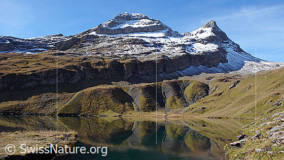 Foto: Spiegelung einer interessanten Geländestruktur im Bachalpsee. Dahinter sind Reeti und Simelihorn zu sehen.