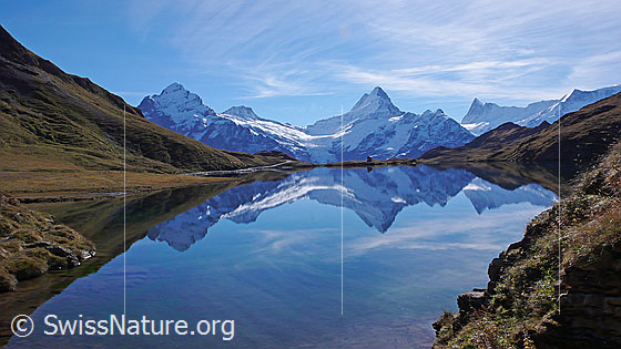 Foto: Spiegelung der Berner Alpen mit Wetterhorn, Bärglistock, Lauteraarhorn, Schreckhorn, Kleines Schreckhorn, Finsteraarhorn und Ochs im Bachalpsee.