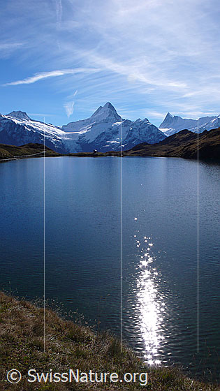 Foto: Blick über die leicht gewellte, glitzernde Wasseroberfläche des Bachalpsees zu den Berner Alpen mit Bärglistock, Lauteraarhorn, Schreckhorn, Kleines Schreckhorn und Finsteraarhorn.
