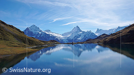 Foto: Spiegelung der Berner Alpen mit Wetterhorn, Bärglistock, Lauteraarhorn, Schreckhorn, Kleines Schreckhorn, Finsteraarhorn, und Ochs im Bachalpsee.