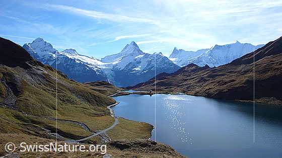 Foto: Blick auf den Bachalpsee und zu den Berner Alpen mit Wetterhorn, Bärglistock, Lauteraarhorn, Schreckhorn, Kleines Schreckhorn, Finsteraarhorn, Ochs und Fiescherhörner. Dem Ufer entlang führt ein Wanderweg.